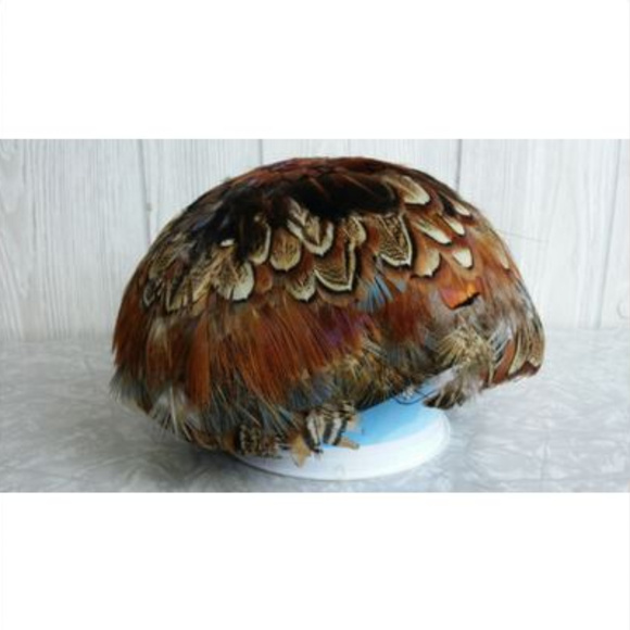 *Vintage 40s 50s Handmade Pheasant Breast Pill Box